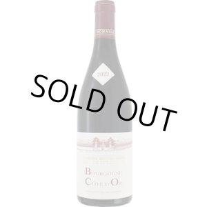 画像: ブルゴーニュ　コート　ドール　ルージュ 2022 ミッシェル　グロ