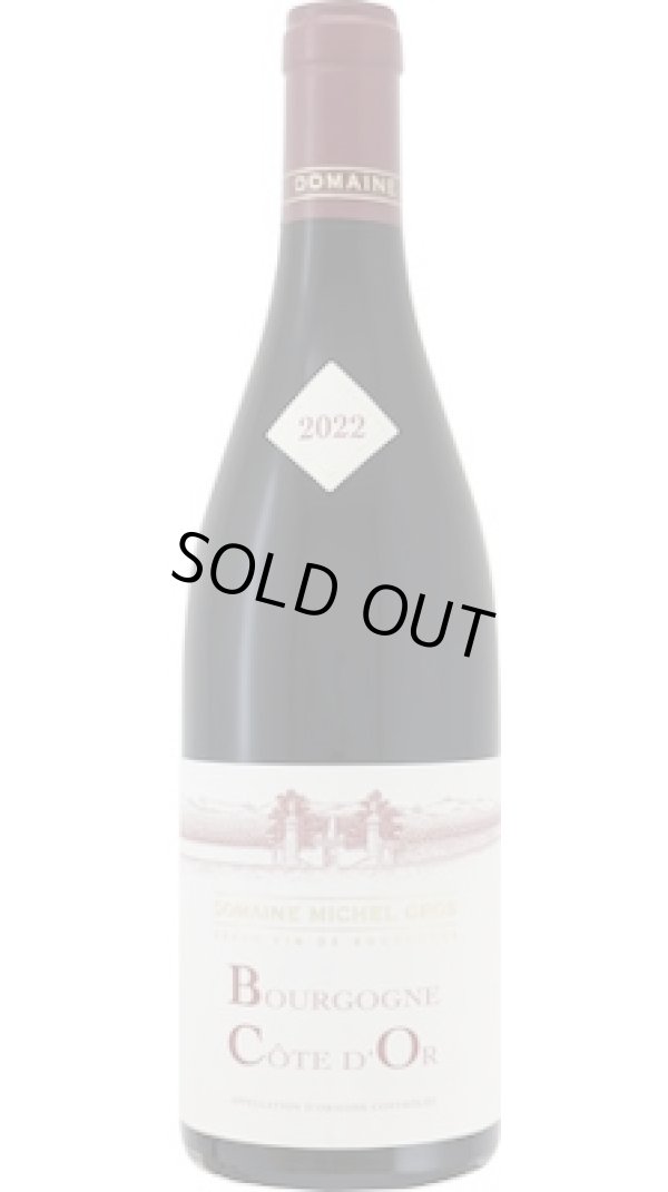 画像1: ブルゴーニュ　コート　ドール　ルージュ 2022 ミッシェル　グロ