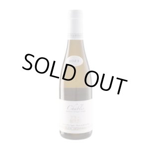 画像: シャブリ キュヴェ・ヴィエイユ・ヴィーニュ オーク樽熟成 ハーフ 2023 アラン・ジョフロワ (シャブリ) (375ml)