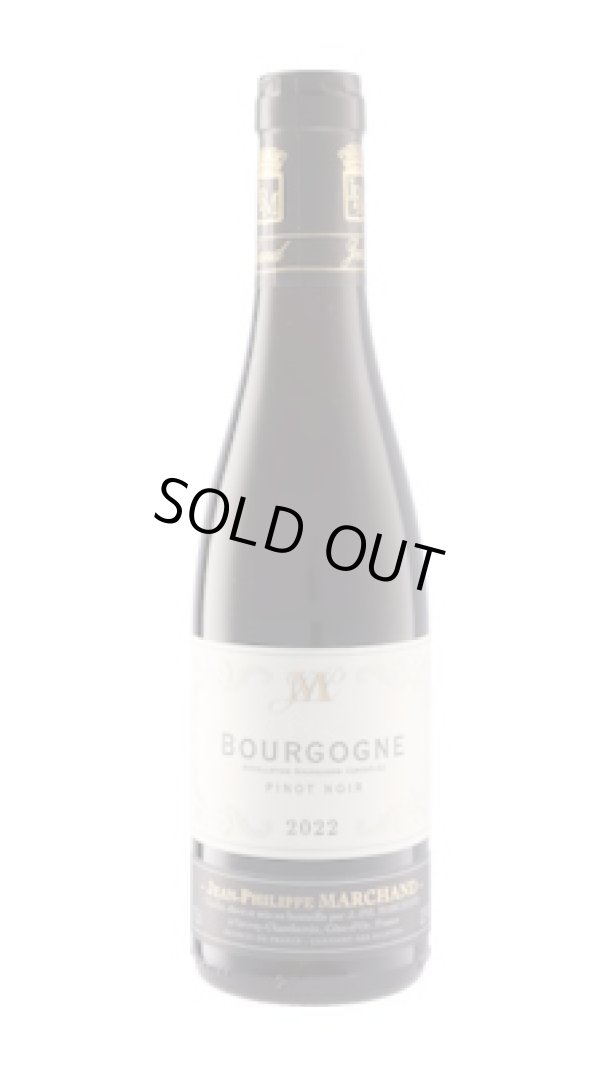 画像1: ブルゴーニュ ピノ・ノワール ハーフ 2023 ジャン・フィリップ・マルシャン (375ml)