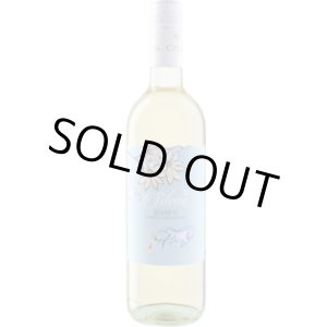 画像: シレーネ ビアンコ 2024 チートラ・ヴィーニ