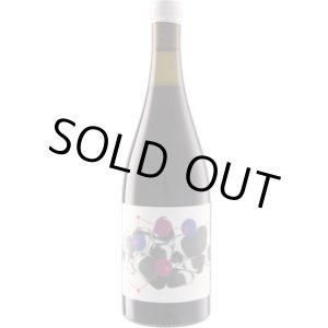 画像: フューチャー・パーフェクト ピノ・ノワール 2023 (オーストラリア：赤)