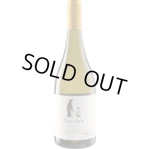 画像: デル・スール ゲヴュルツトラミネール レセルバ 2024 ペドリガル (チリ：白)