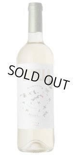 画像: ヴィディジャ   2023　シャヤ（スペイン白）