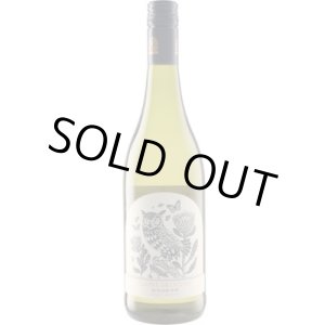 画像: クライン・オランジェリー ヴィオニエ 2025 ブティノ SA