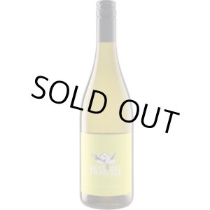 画像: パスレル シャルドネ 2024 ケーヴ・ラングドック・ルーション