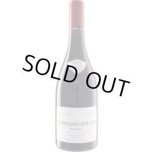 画像: ブルゴーニュ コート・ドール 赤 2023 コワイヨ