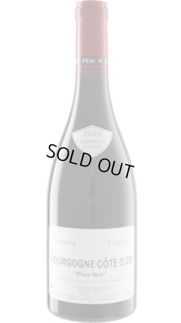 画像1: ブルゴーニュ コート・ドール 赤 2023 コワイヨ