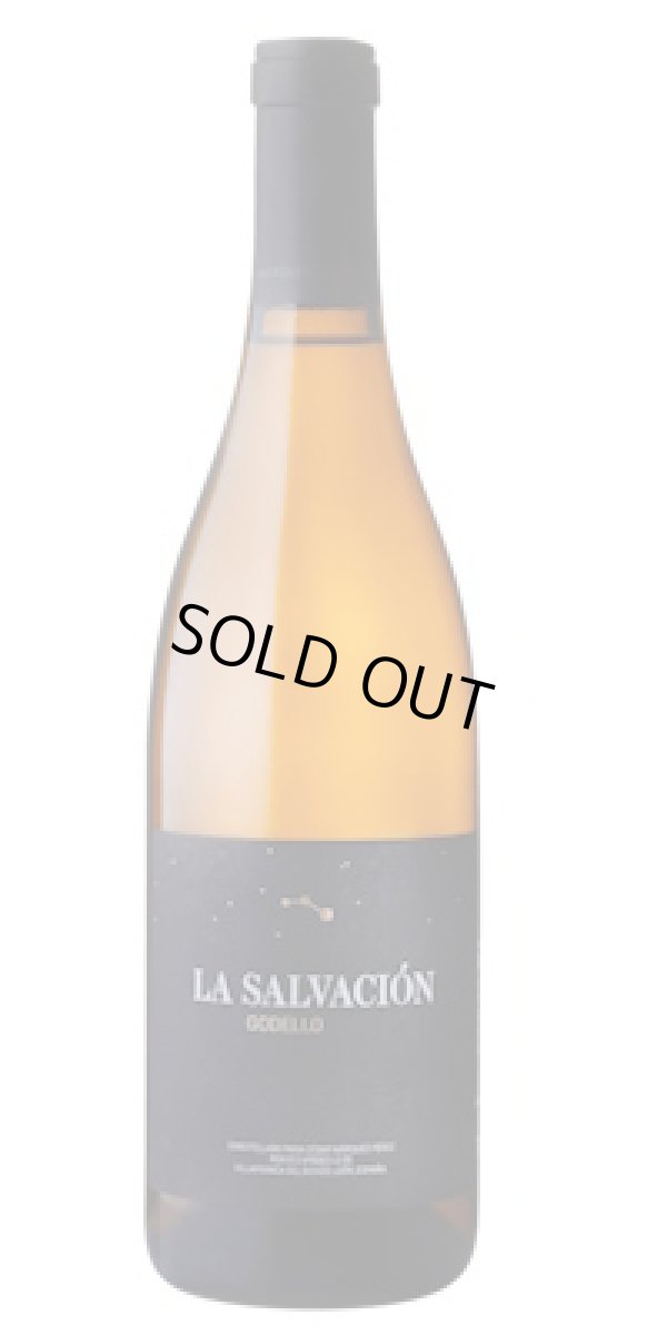 画像1: ラ・サルバシオン ゴデーリョ　2023　セサール・マルケス 　（スペイン　白）