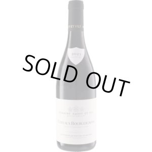 画像: コトー・ブルギニヨン 赤 2023 アミオ・エ・フィス