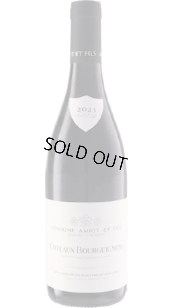 画像1: コトー・ブルギニヨン 赤 2023 アミオ・エ・フィス