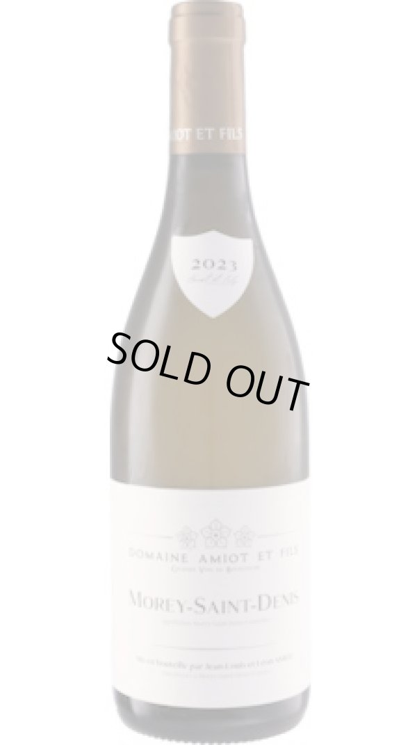 画像1: モレ・サン・ドニ 白 2023 アミオ・エ・フィス
