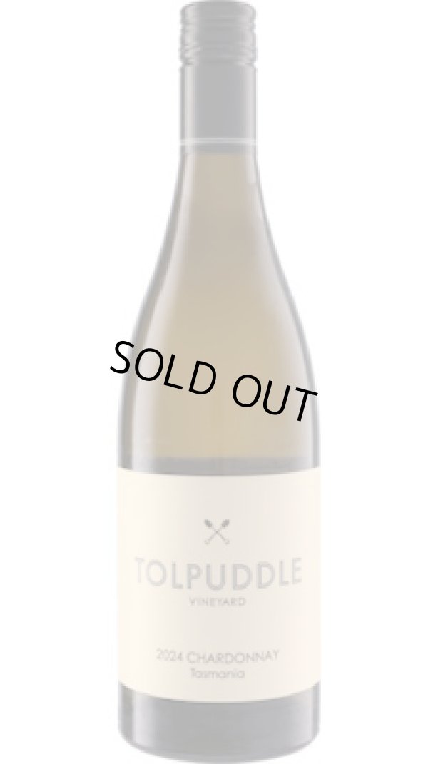 画像1: トルパドル・ヴィンヤード シャルドネ 2024 (オーストラリア：白)