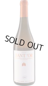 画像: サントール ロディティス アンフォラ・エイジングスキン・コンタクト 2024 (ギリシャ：オレンジ)