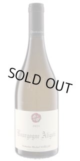 画像: ブルゴーニュ アリゴテ  白 2023 ミシェル・ノエラ