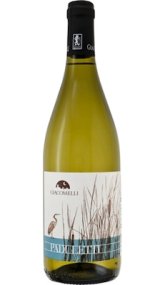 画像: パドゥレッティ 2024 ジャコメッリ