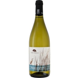 画像: パドゥレッティ 2024 ジャコメッリ