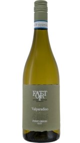 画像: ピノ　グリージョ　ヴァルパラディソ 2023 ファットリ