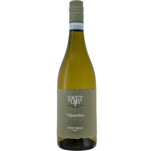 画像: ピノ　グリージョ　ヴァルパラディソ 2023 ファットリ