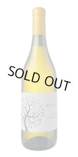 画像: ベルコッレ ランゲ・シャルドネ 　2024　ボジオ