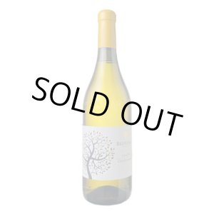 画像: ベルコッレ ランゲ・シャルドネ 　2024　ボジオ