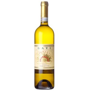 画像: ガヴィ アウローラ 2023 ロベルト サロット