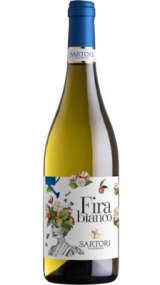 画像: フィラ ビアンコ 2024 ヴィニコラ・サルトーリ