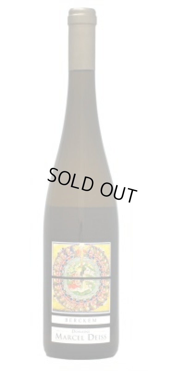 画像1: ベルケム　 2023　マルセル・ダイス　