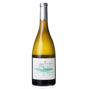 画像: トッレ ピノ グリージョ 白 2023　カンティーネ パオロレオ　(イタリア：白)