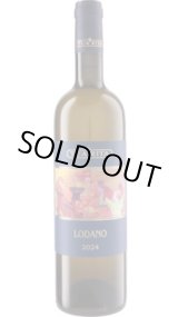 画像: ロダーノ ビアンコ 2024 トゥア・リータ　