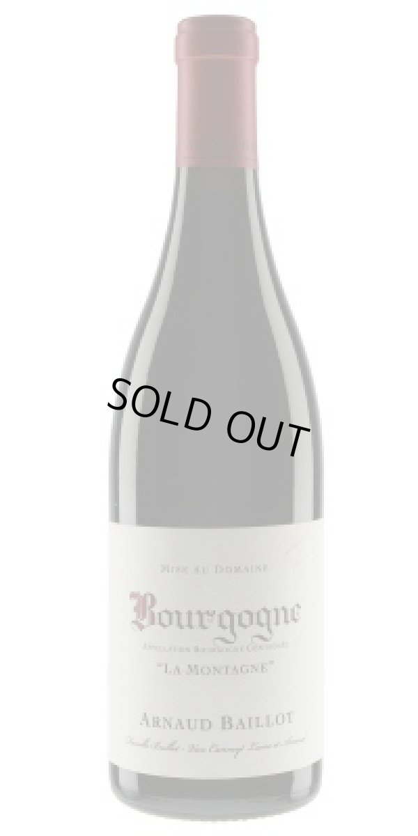 画像1: ブルゴーニュ　ピノ・ノワール　モンターニュ 2023　アルノー・バイヨ