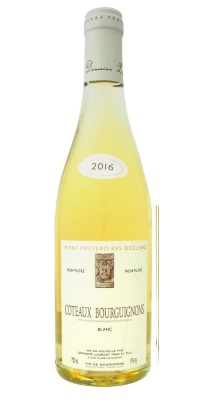 画像1: コトー・ブルギニョン・ブラン キュヴェ ノンフォルトレ 白 2021　ドメーヌ　ローラン　ペール　エフィス