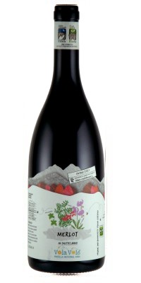 画像1:  ヴォラ・ヴォレ メルロー 2023 カンティーナ・オルソーニャ (イタリア）