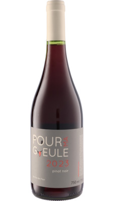 画像1: プール・マ・ギュール ピノ・ノワール 2023 クロ・デ・フ (チリ：赤)