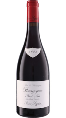画像1: ブルゴーニュ ピノ・ノワール 2023 レミ・スガン