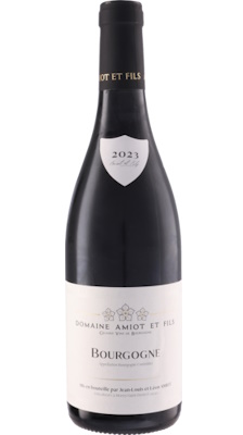 画像1: ブルゴーニュ ピノ・ノワール 2023 アミオ・エ・フィス