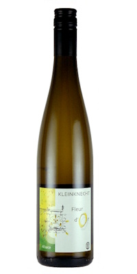 画像1: フルール ドール  2023   クラインクネヒト（白）