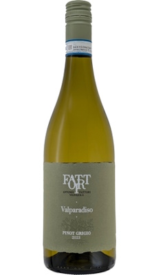 画像1: ピノ　グリージョ　ヴァルパラディソ 2023 ファットリ