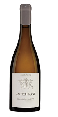 画像1: ブルゴーニュ アリゴテ アンティクトーヌ　2020　ドメーヌ・ブノワ・アント