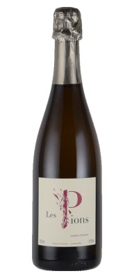 画像1: ペティアン  レ ピオン 2022 ルドヴィック・シャンソン　(ロワール泡）