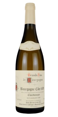 画像1: ブルゴーニュ・コート・ドール・ブラン白　2024　ドメーヌ・ポール・ペルノ