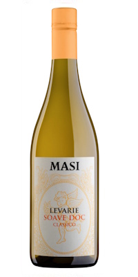 画像1: “レヴァリエ” ソアーヴェ ・クラッシコ  2024　マァジ　