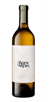 画像1: ボーンオブファイヤー・シュナンブラン　2024　ジュリアンスカール