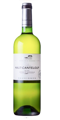 画像1: シャトー オー カントループ ブラン キュヴェ トラディション 白 2024