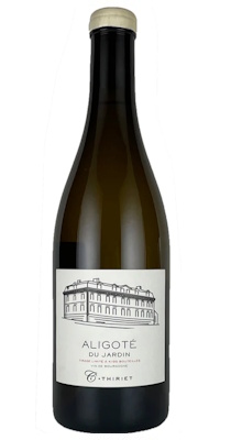 画像1: ブルゴーニュ・アリゴテ・ル・ジャルダン・ブラン 白2023　カミーユ・ティリエ
